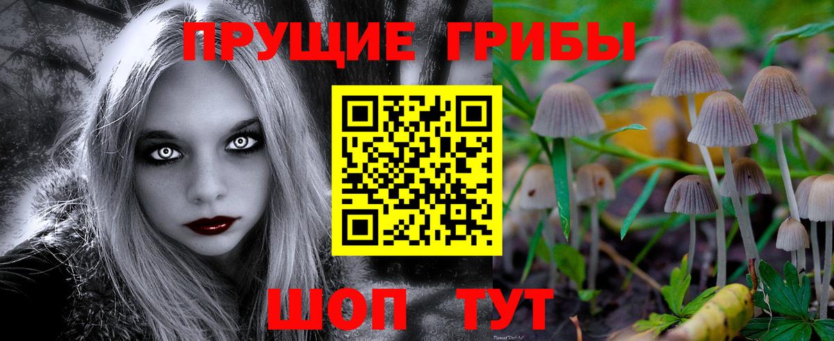 Псилоцибиновые грибы ЛСД Бор
