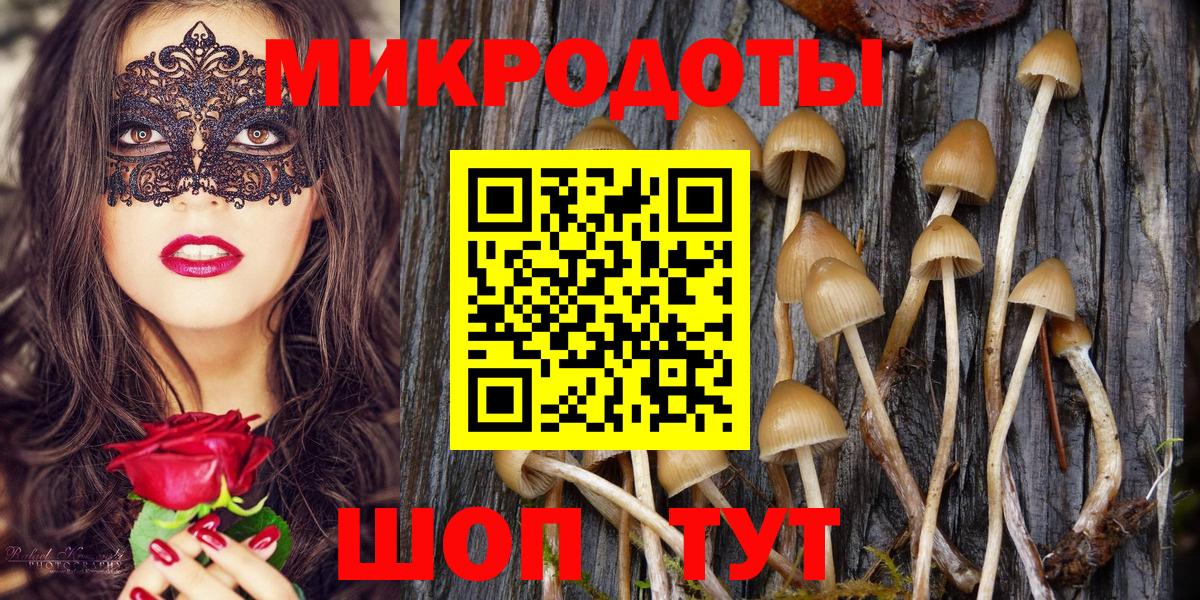 Бор  Псилоцибиновые грибы прущие грибы  Вход с VPN 